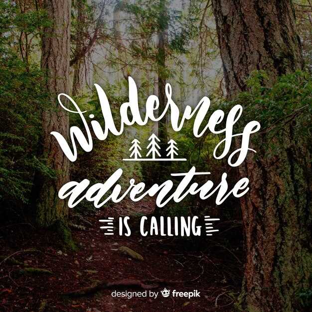 Off-Road RVing Etiquette – Respecting Nature and Trails